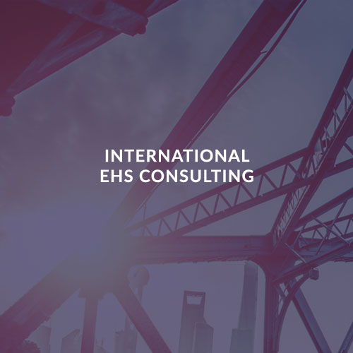 INTERNATIONAL EHS CONSULTING